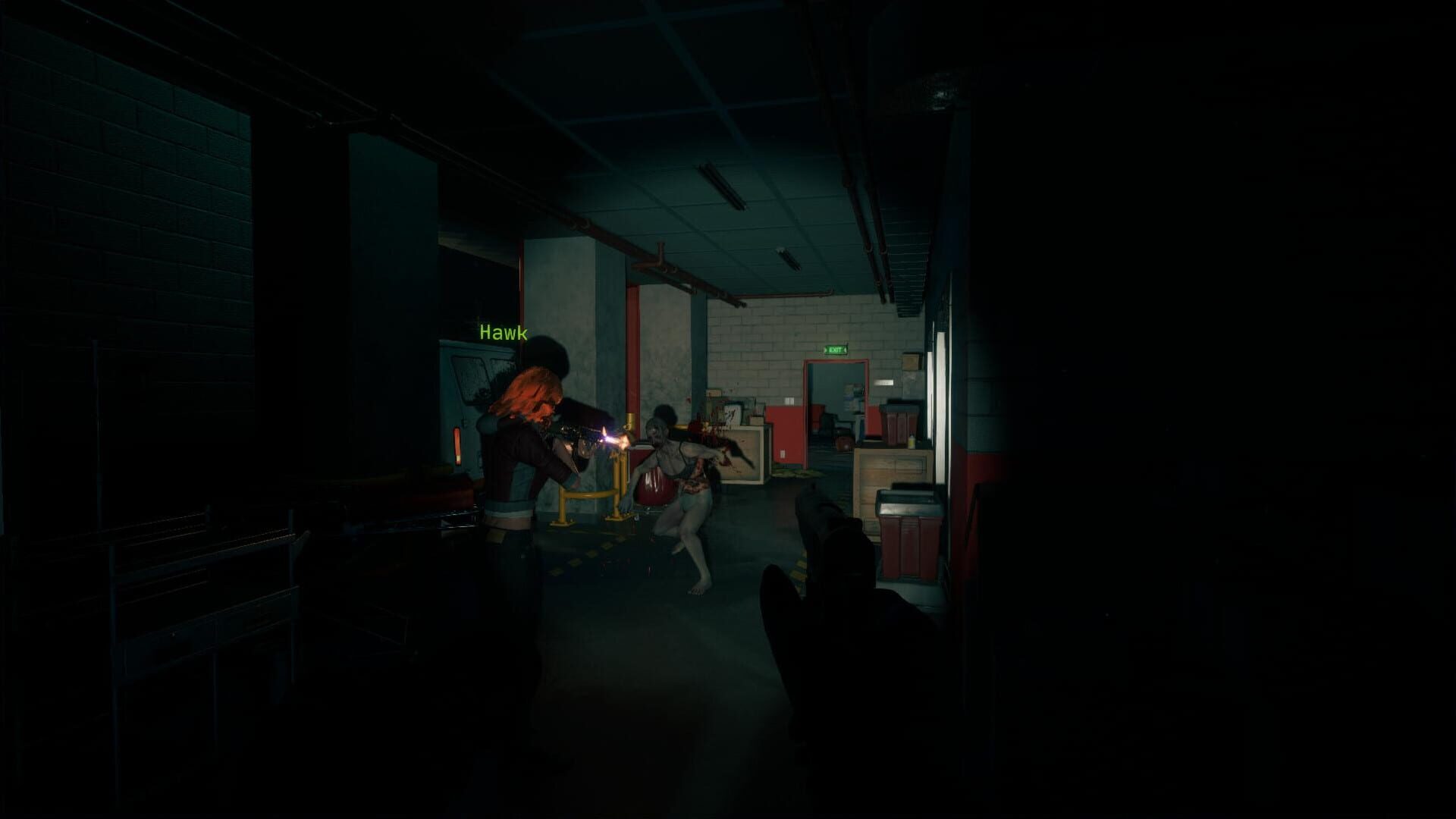 Screenshot for No More Room in Hell 2