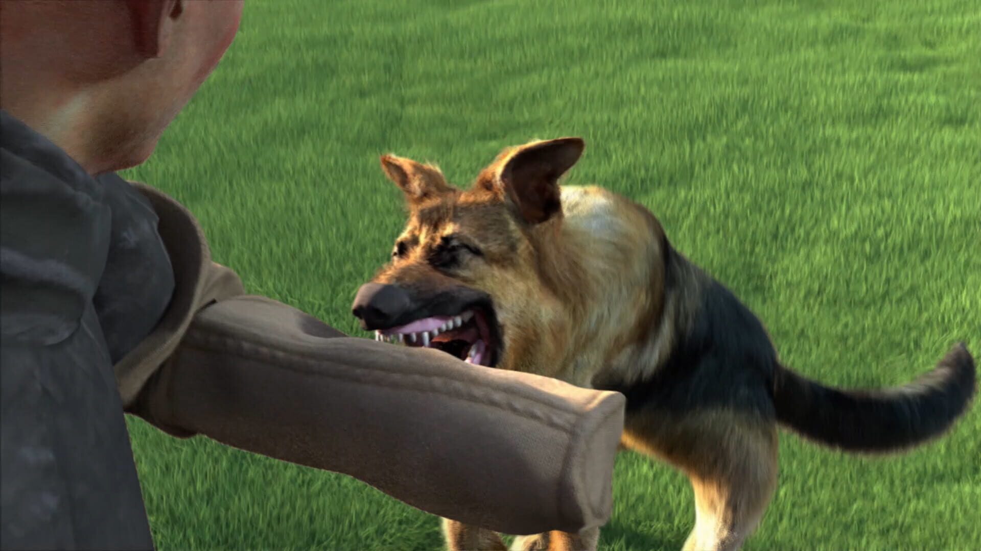 Screenshot for Animal Trainer