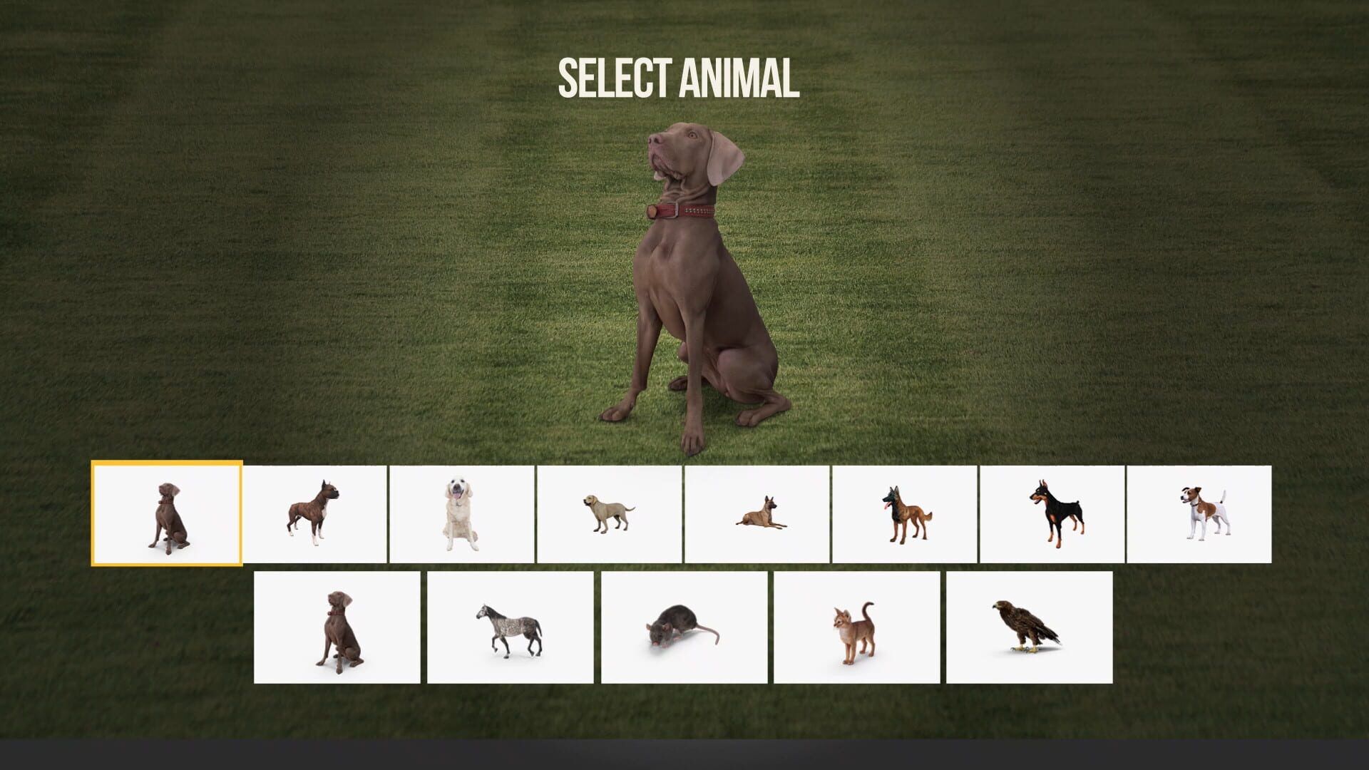 Screenshot for Animal Trainer