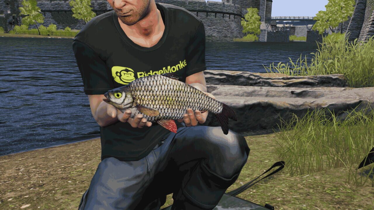 Screenshot for Euro Fishing: The Moat