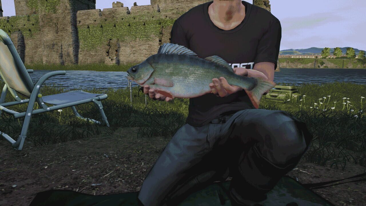 Screenshot for Euro Fishing: The Moat