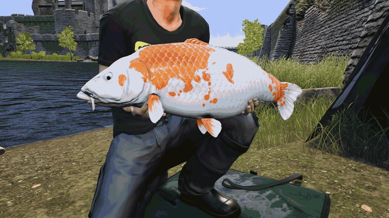 Screenshot for Euro Fishing: The Moat