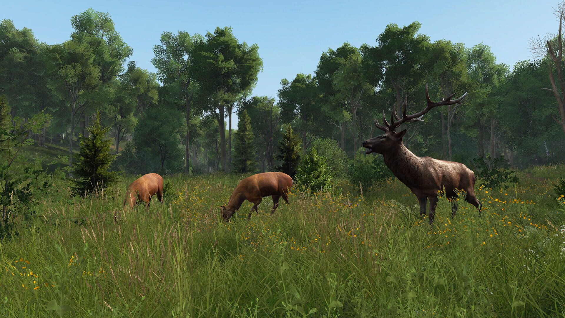 Screenshot for DayZ: Livonia