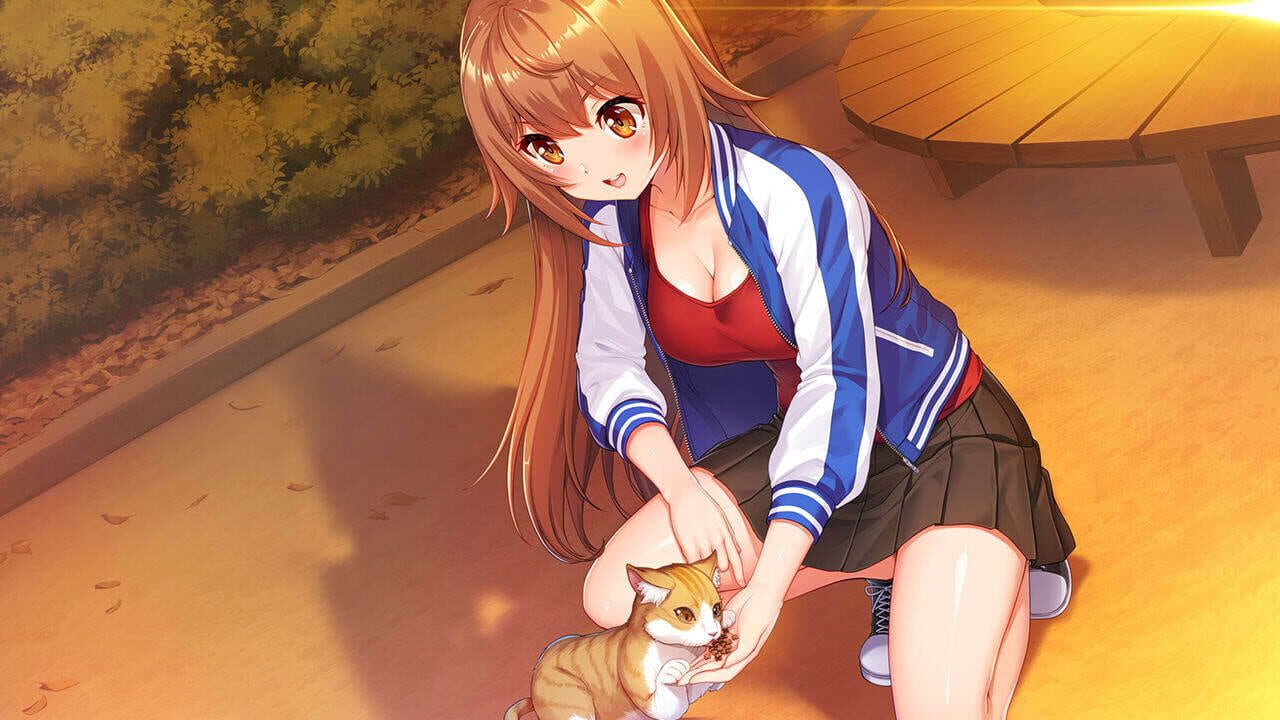 Screenshot for Idol Days