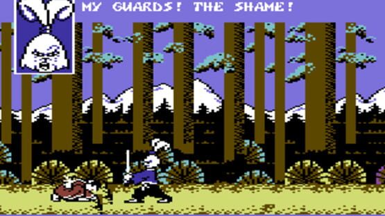 Screenshot for Samurai Warrior: The Battles of Usagi Yojimbo