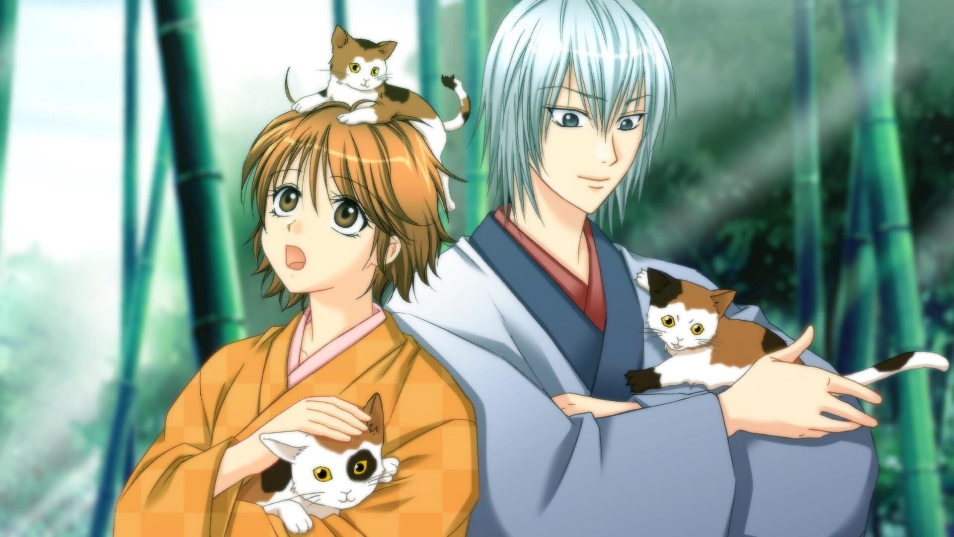 Screenshot for Bakumatsu Renka Shinsengumi