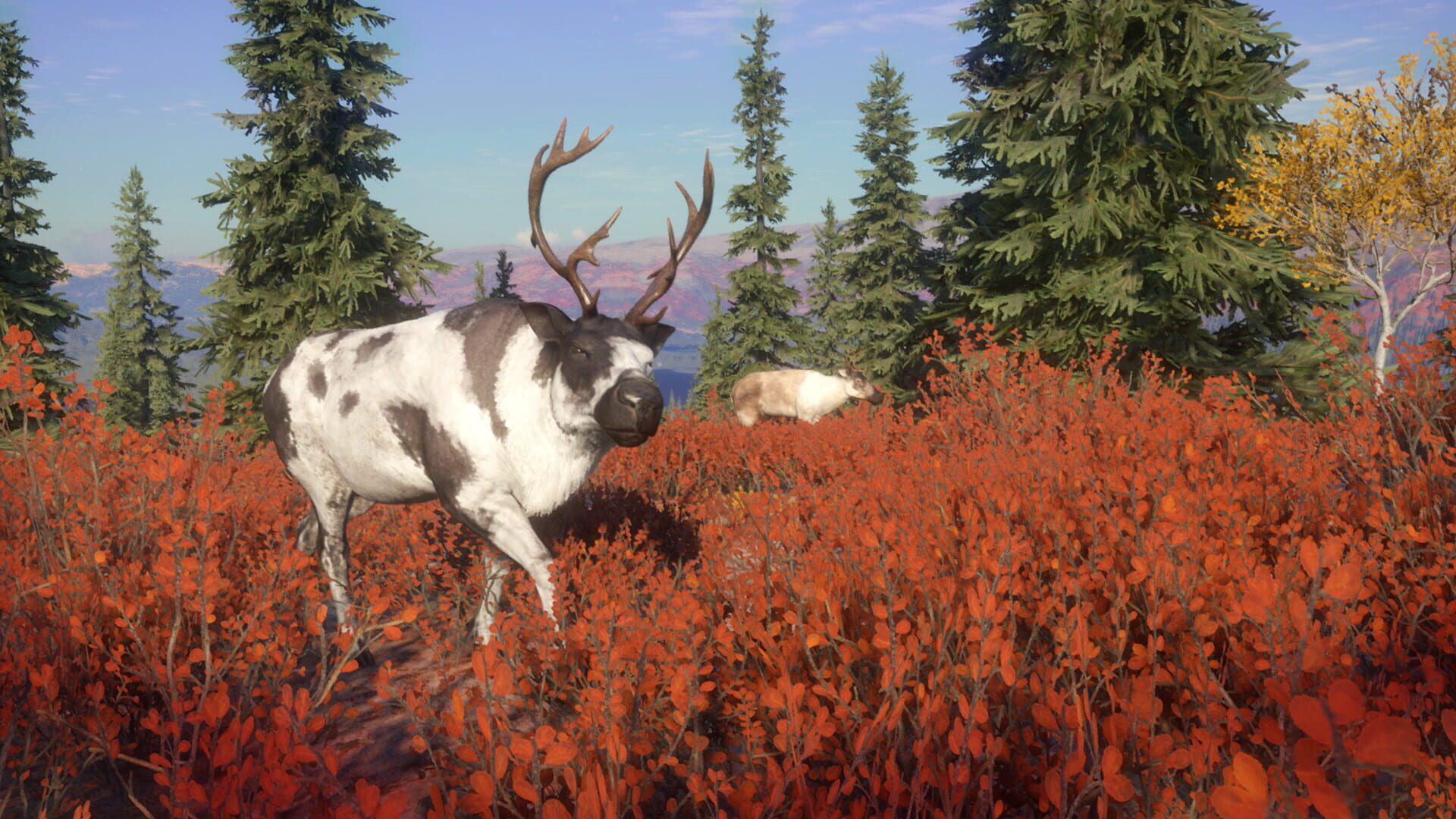 Screenshot for TheHunter: Call of the Wild - Yukon Valley