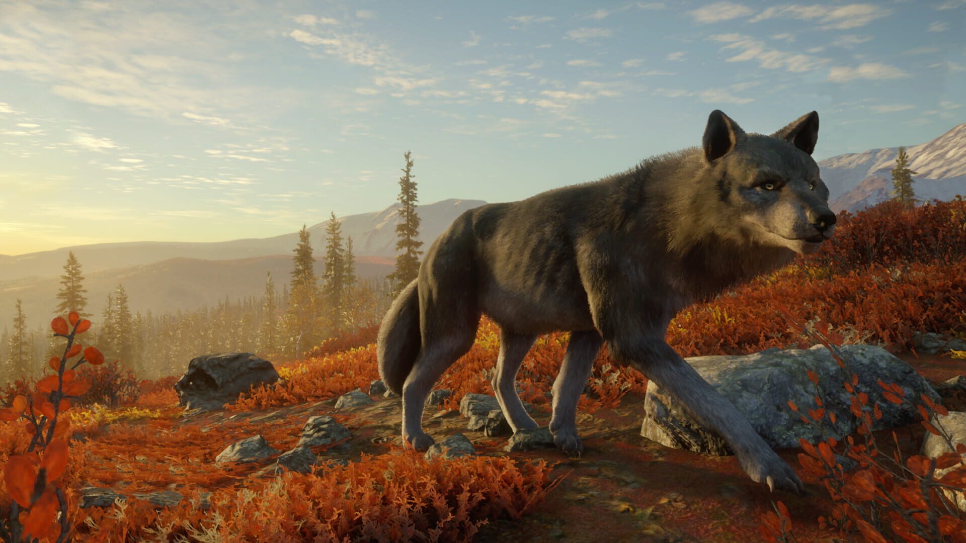 Screenshot for TheHunter: Call of the Wild - Yukon Valley