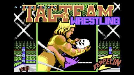Screenshot for American Tag-Team Wrestling