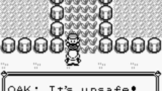 Screenshot for Pokémon Red Version