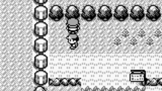 Screenshot for Pokémon Red Version
