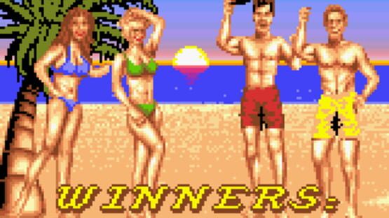 Screenshot for Malibu Bikini Volleyball