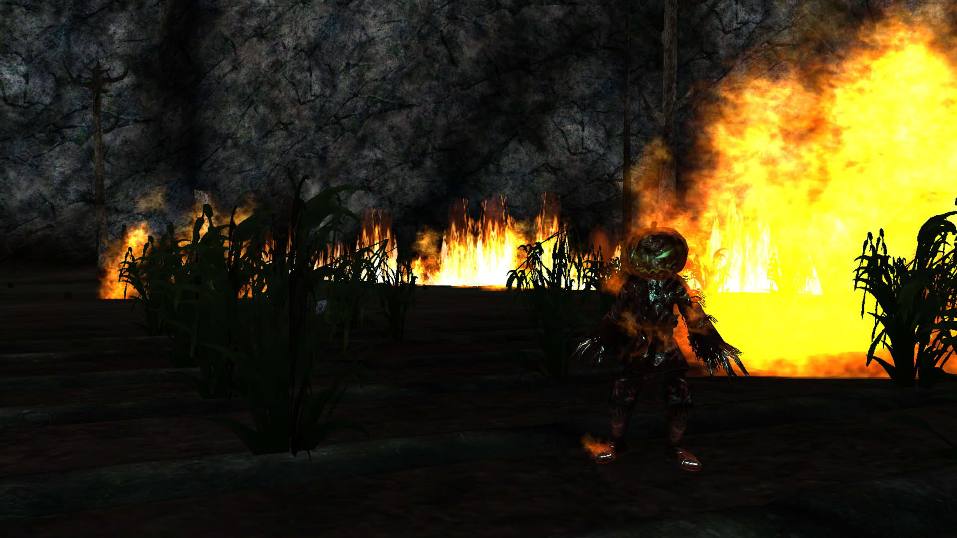 Screenshot for EverQuest: Call of the Forsaken