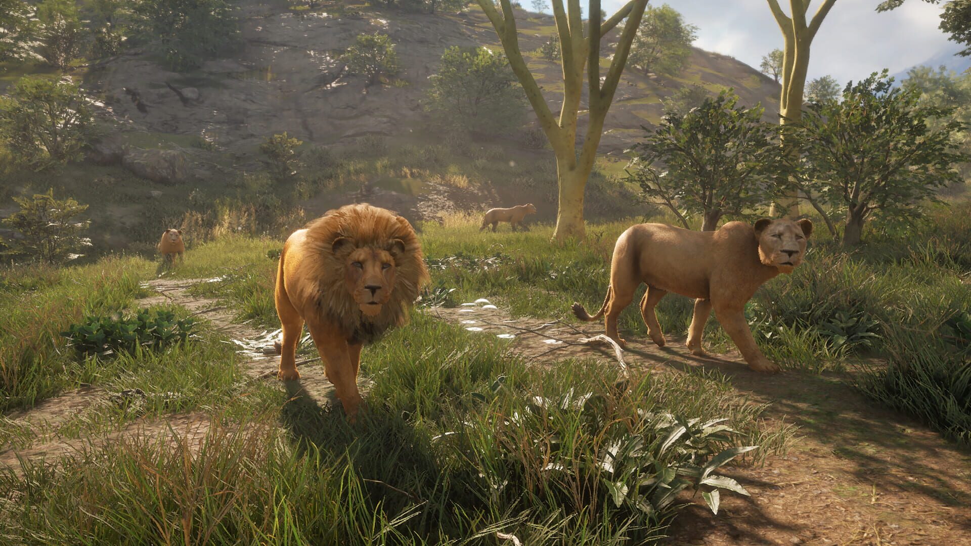 Screenshot for TheHunter: Call of the Wild - Vurhonga Savanna