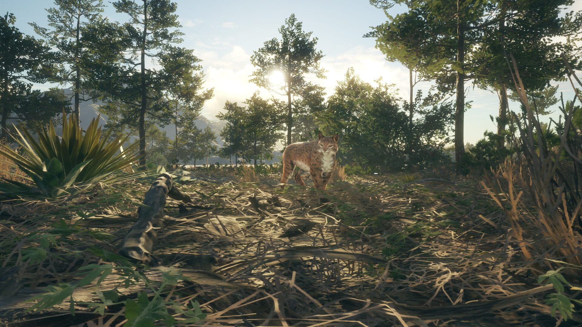 Screenshot for TheHunter: Call of the Wild - Rancho del Arroyo