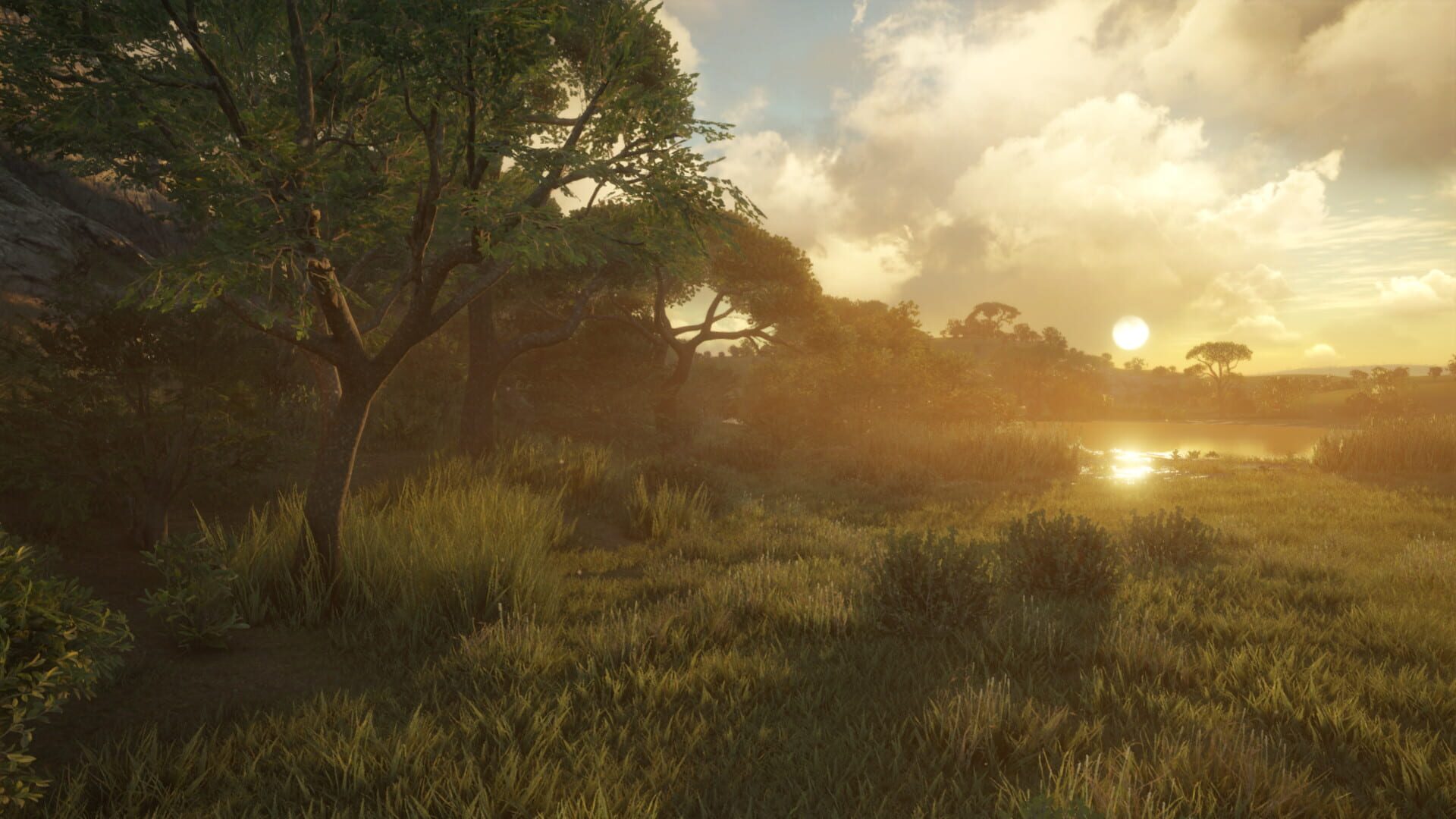 Screenshot for TheHunter: Call of the Wild - Vurhonga Savanna