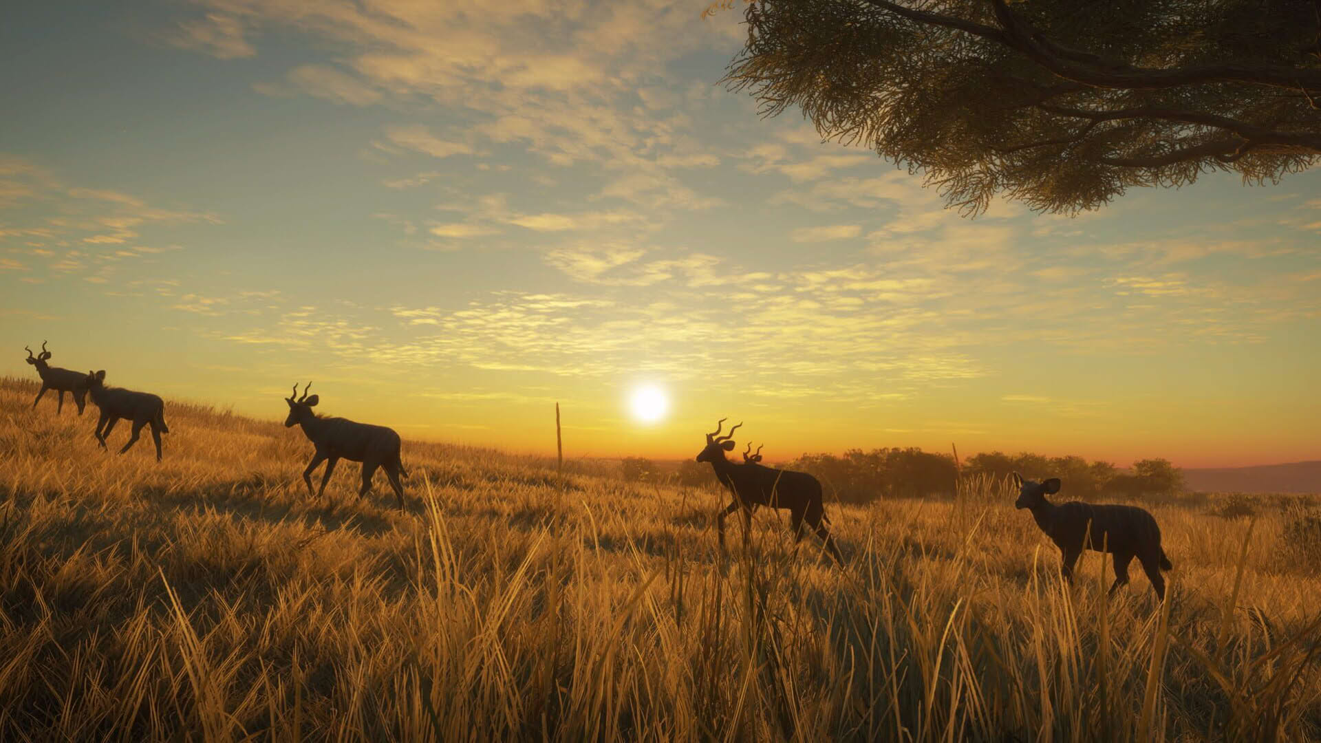 Screenshot for TheHunter: Call of the Wild - Vurhonga Savanna