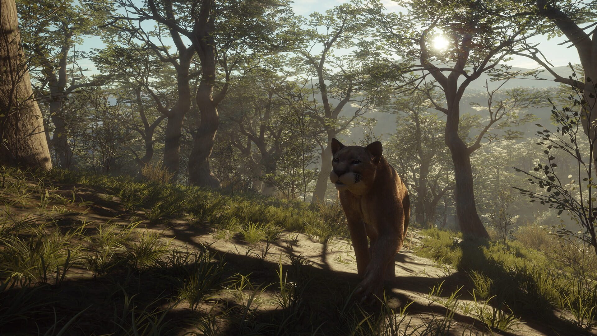 Screenshot for TheHunter: Call of the Wild - Parque Fernando