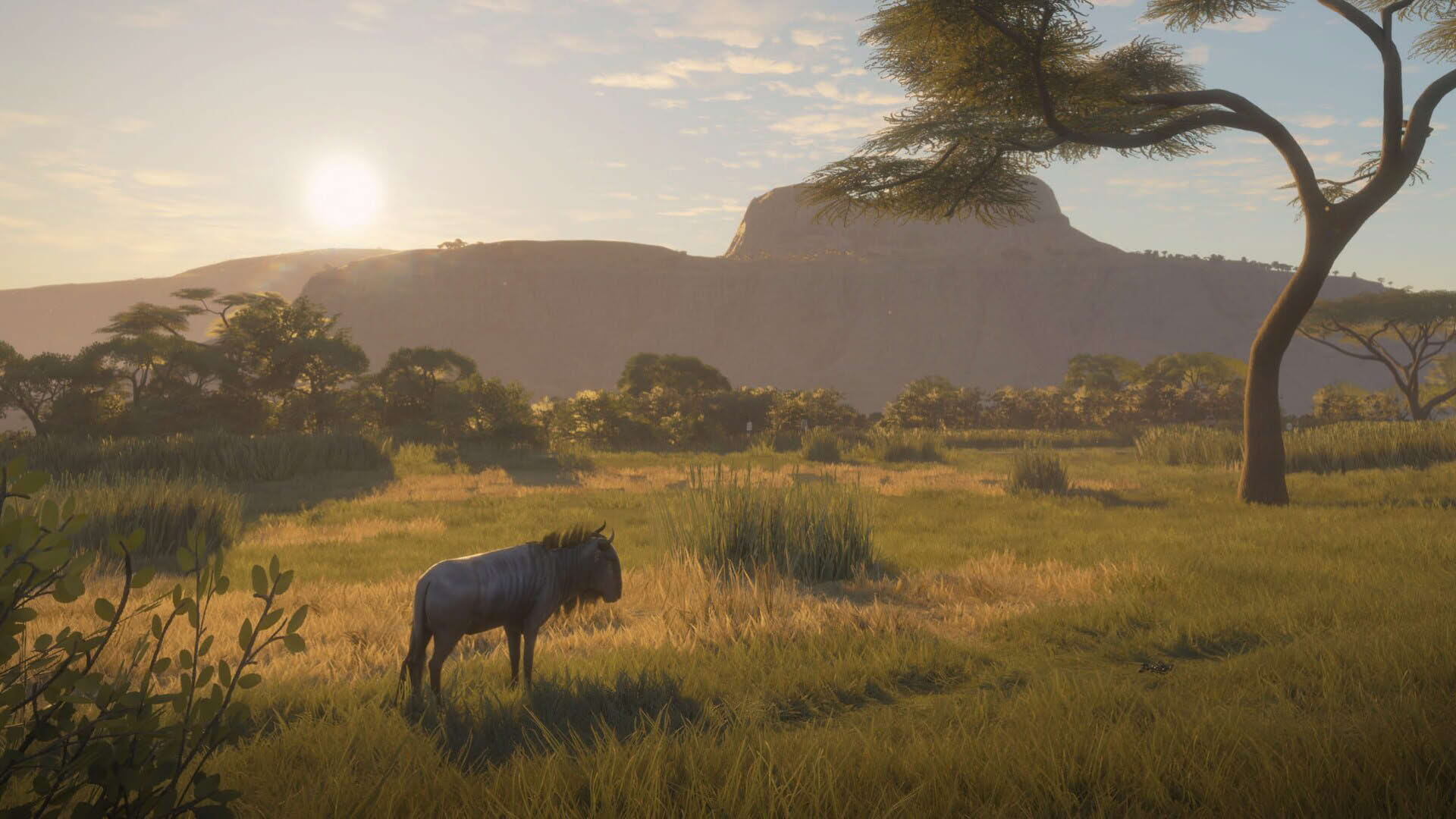 Screenshot for TheHunter: Call of the Wild - Vurhonga Savanna