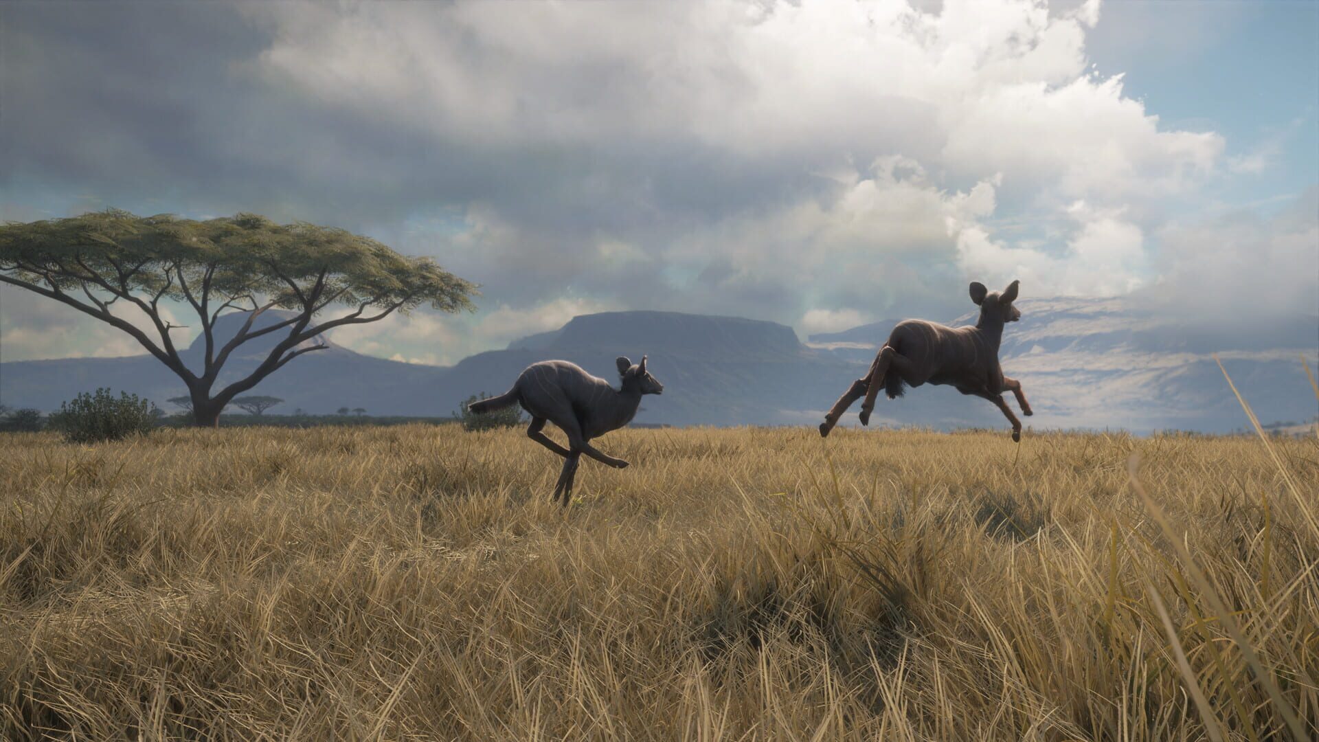 Screenshot for TheHunter: Call of the Wild - Vurhonga Savanna