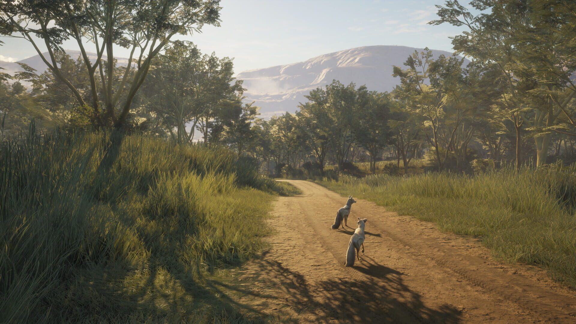 Screenshot for TheHunter: Call of the Wild - Vurhonga Savanna