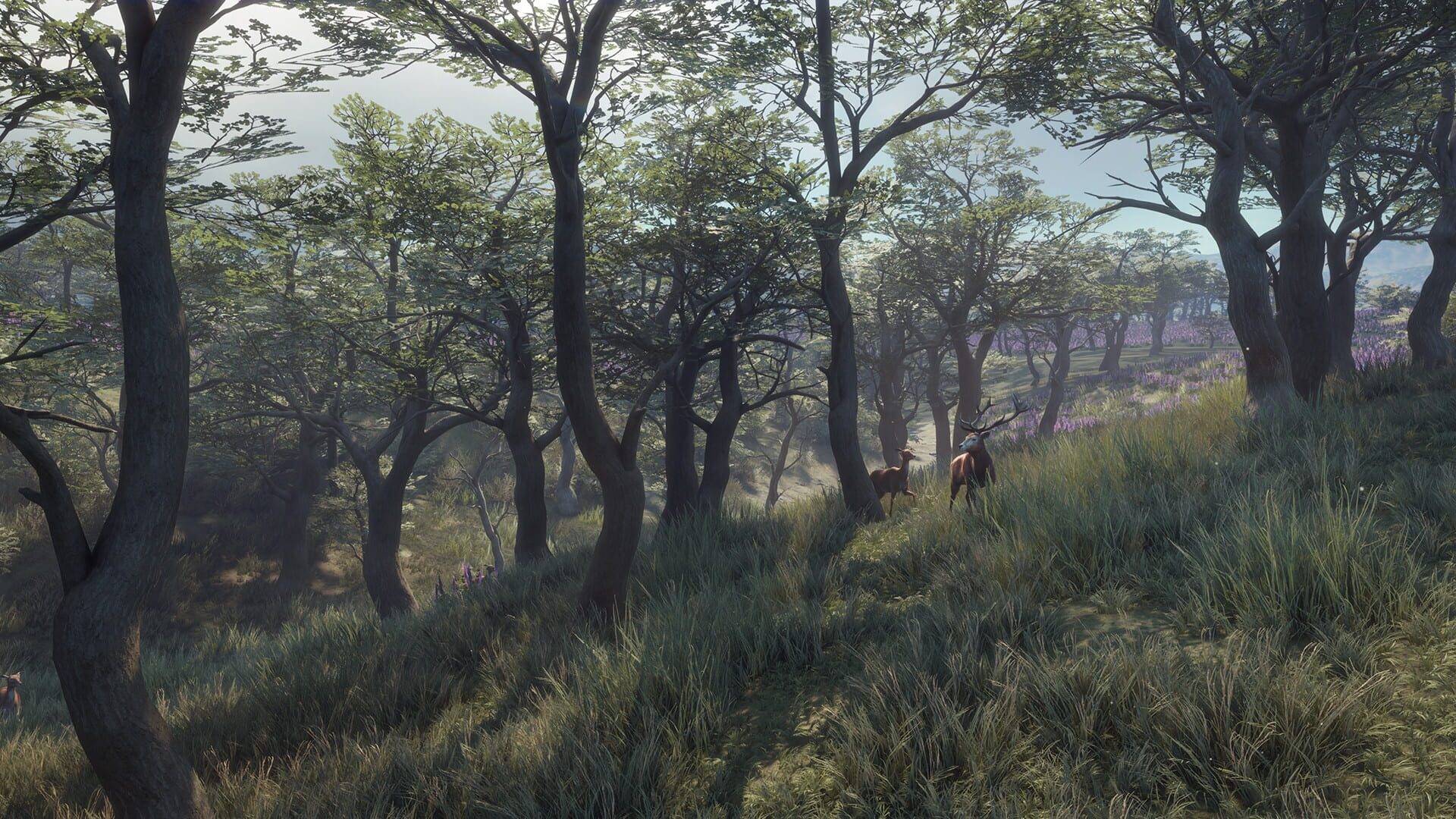 Screenshot for TheHunter: Call of the Wild - Parque Fernando