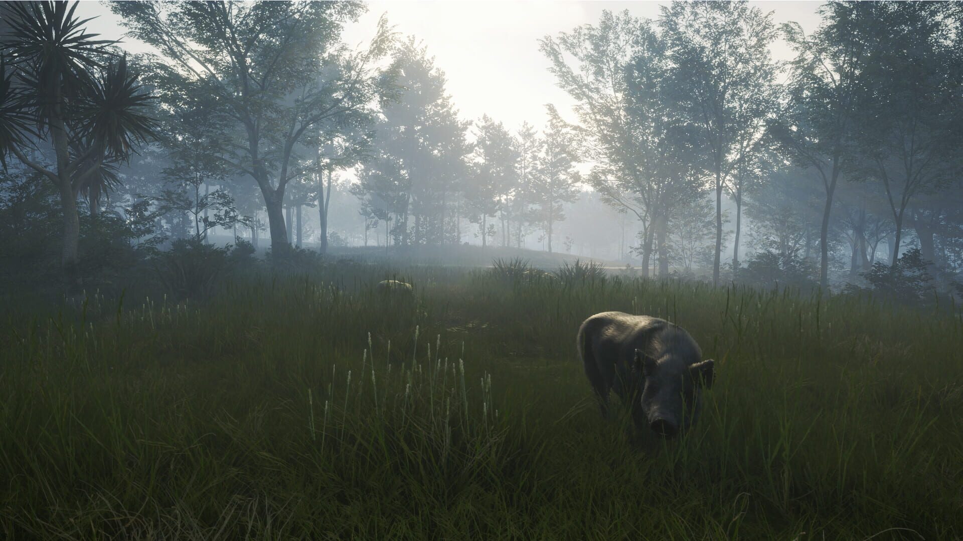 Screenshot for TheHunter: Call of the Wild - Te Awaroa National Park