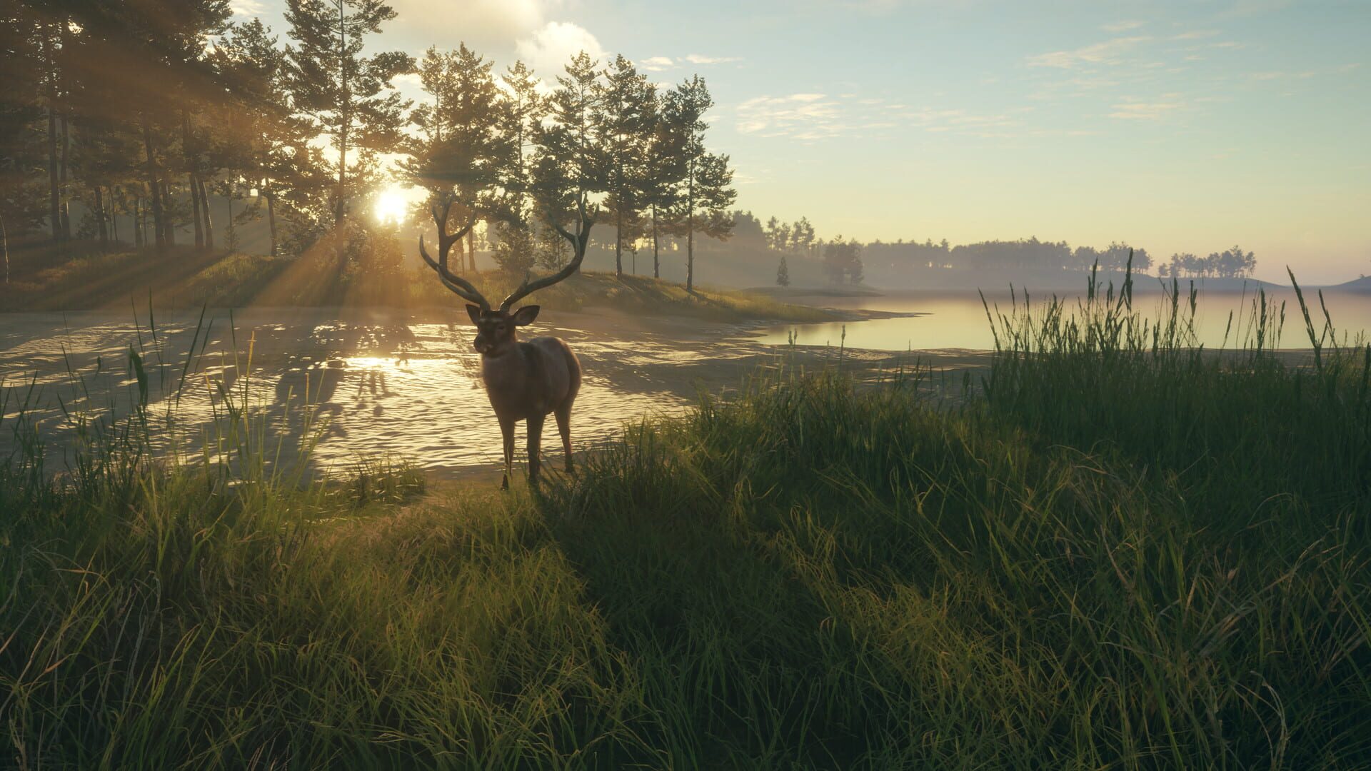 Screenshot for TheHunter: Call of the Wild - Te Awaroa National Park