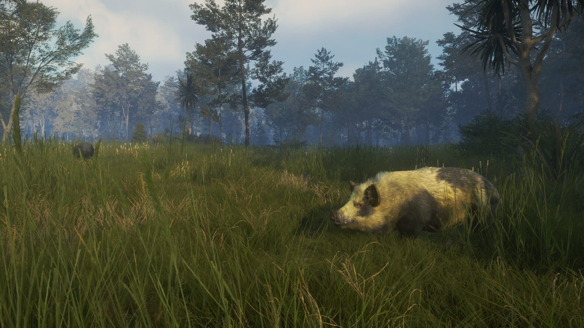 Screenshot for TheHunter: Call of the Wild - Te Awaroa National Park
