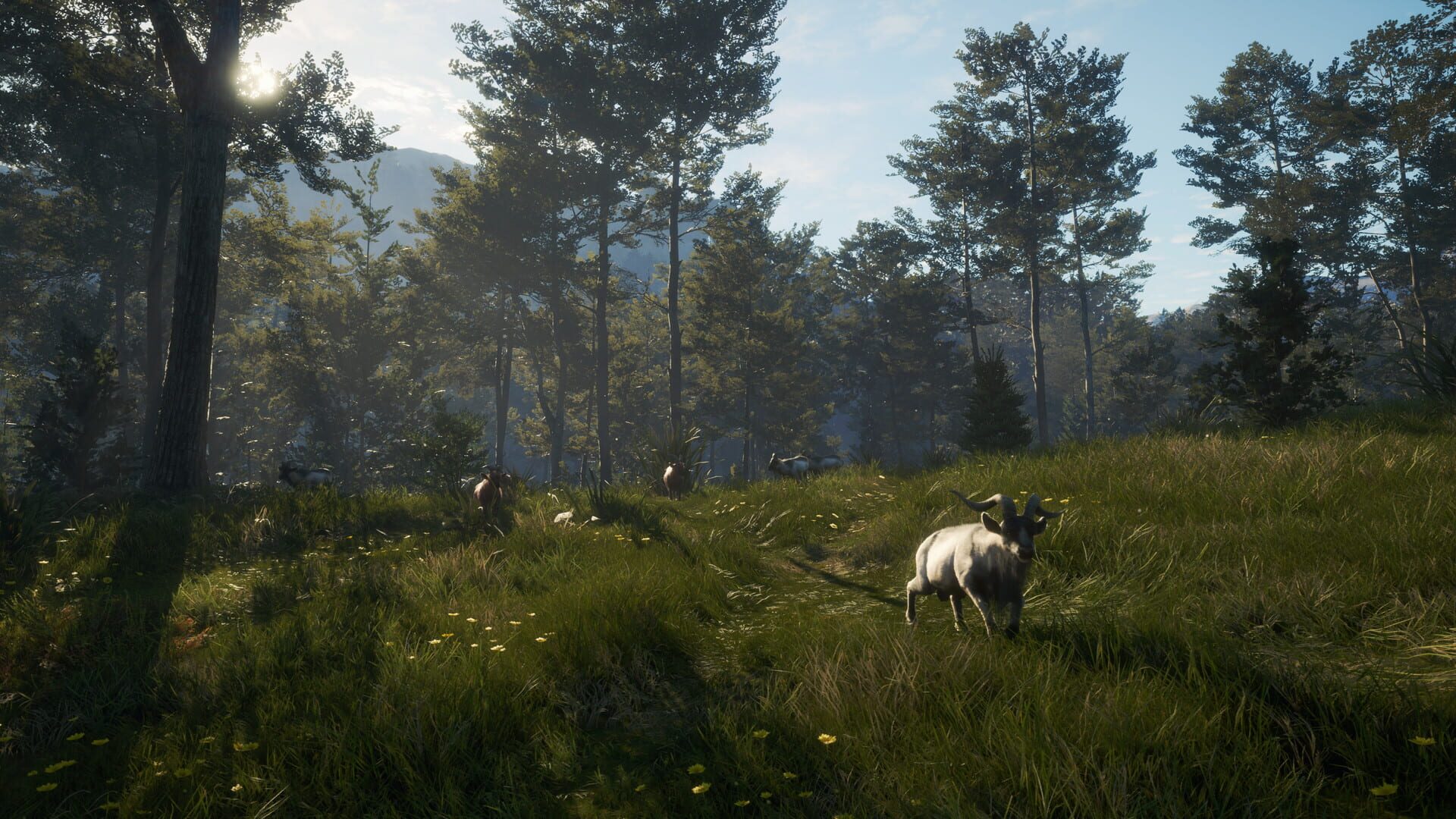 Screenshot for TheHunter: Call of the Wild - Te Awaroa National Park
