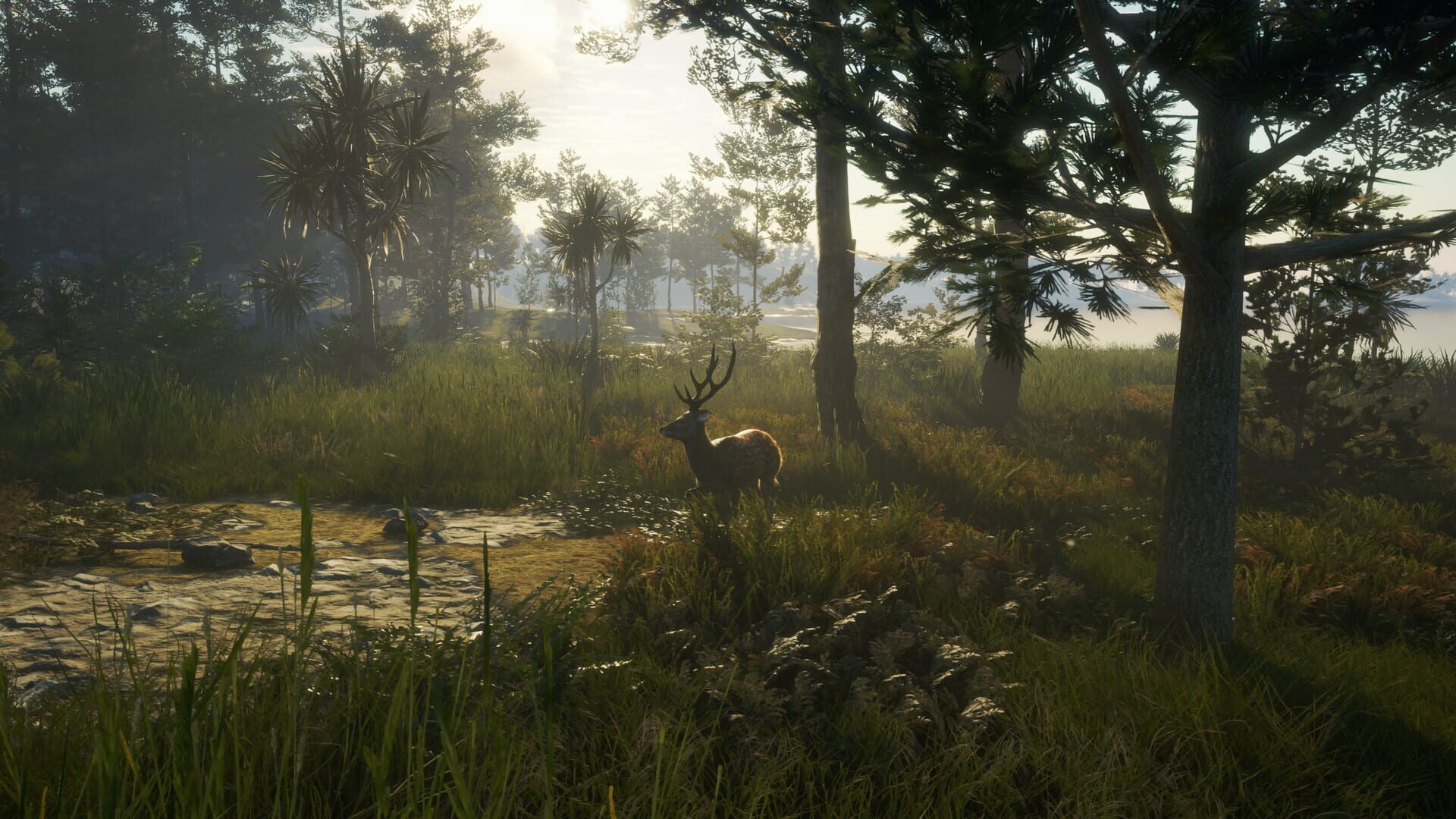 Screenshot for TheHunter: Call of the Wild - Te Awaroa National Park