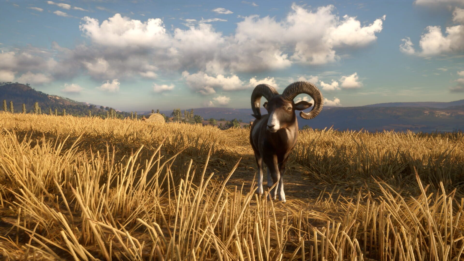 Screenshot for TheHunter: Call of the Wild - Cuatro Colinas Game Reserve