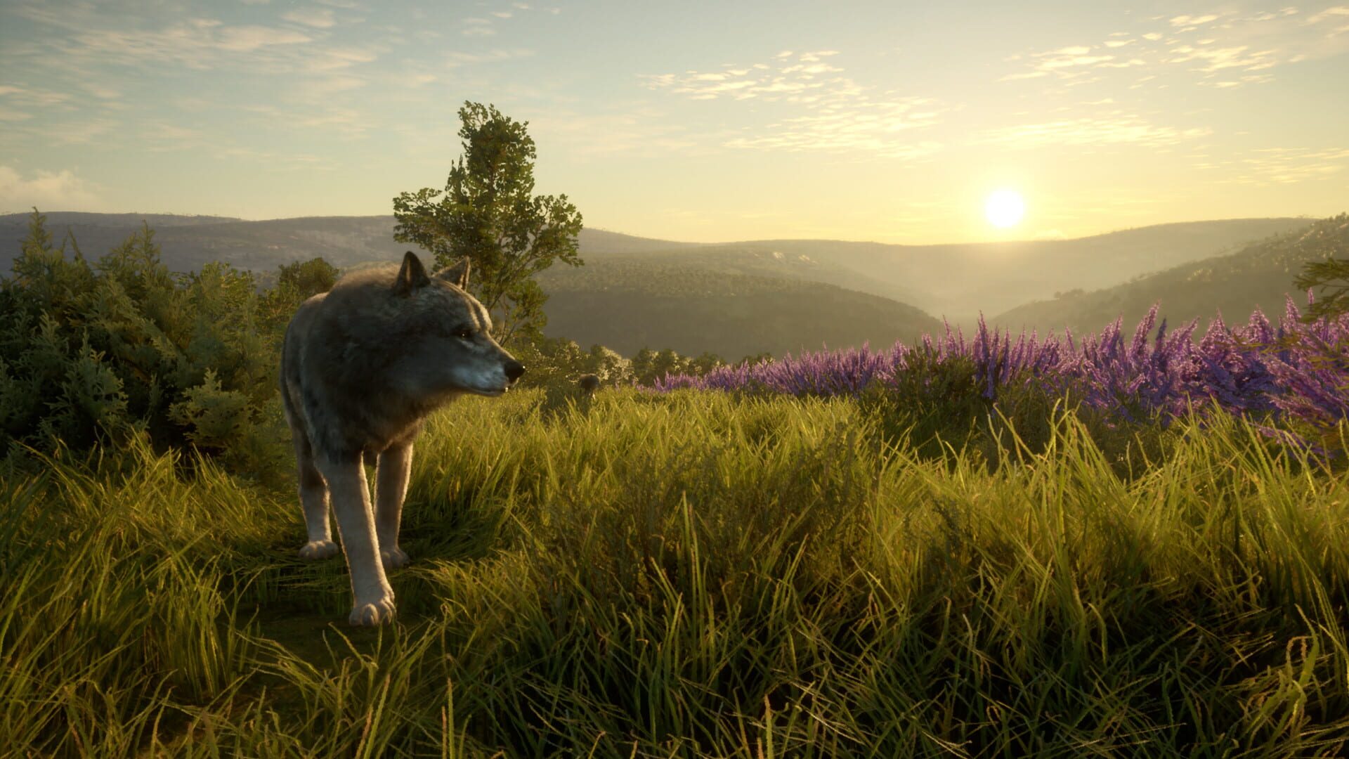 Screenshot for TheHunter: Call of the Wild - Cuatro Colinas Game Reserve