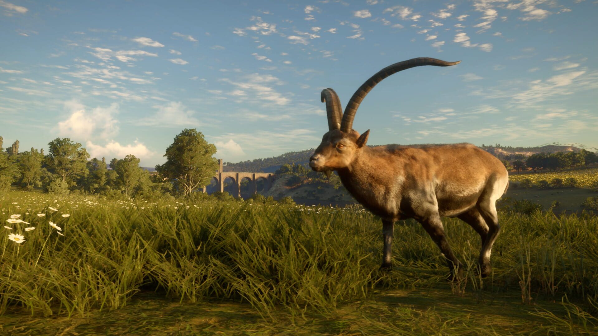 Screenshot for TheHunter: Call of the Wild - Cuatro Colinas Game Reserve
