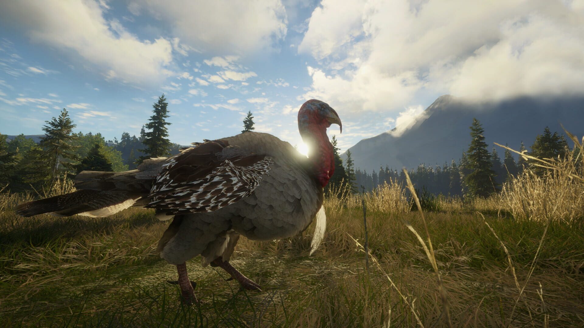 Screenshot for TheHunter: Call of the Wild - Silver Ridge Peaks