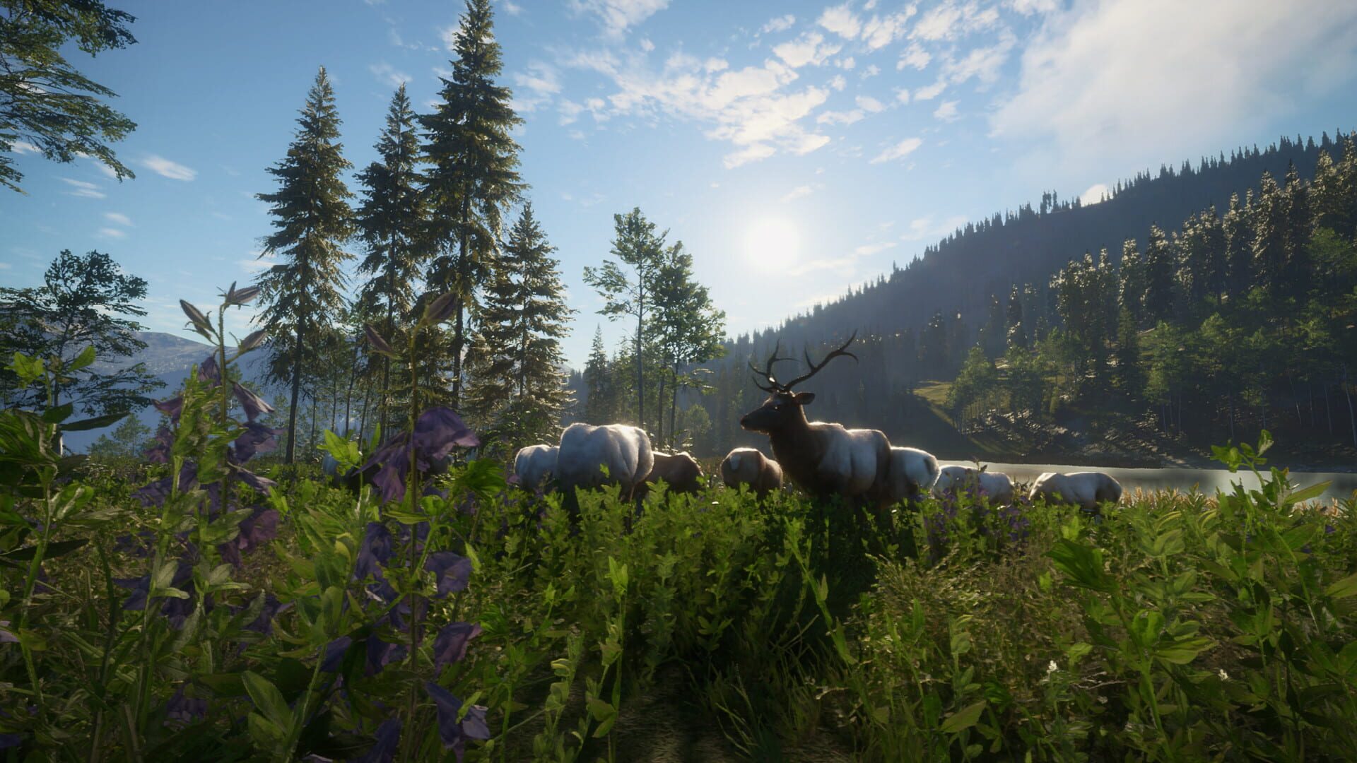 Screenshot for TheHunter: Call of the Wild - Silver Ridge Peaks
