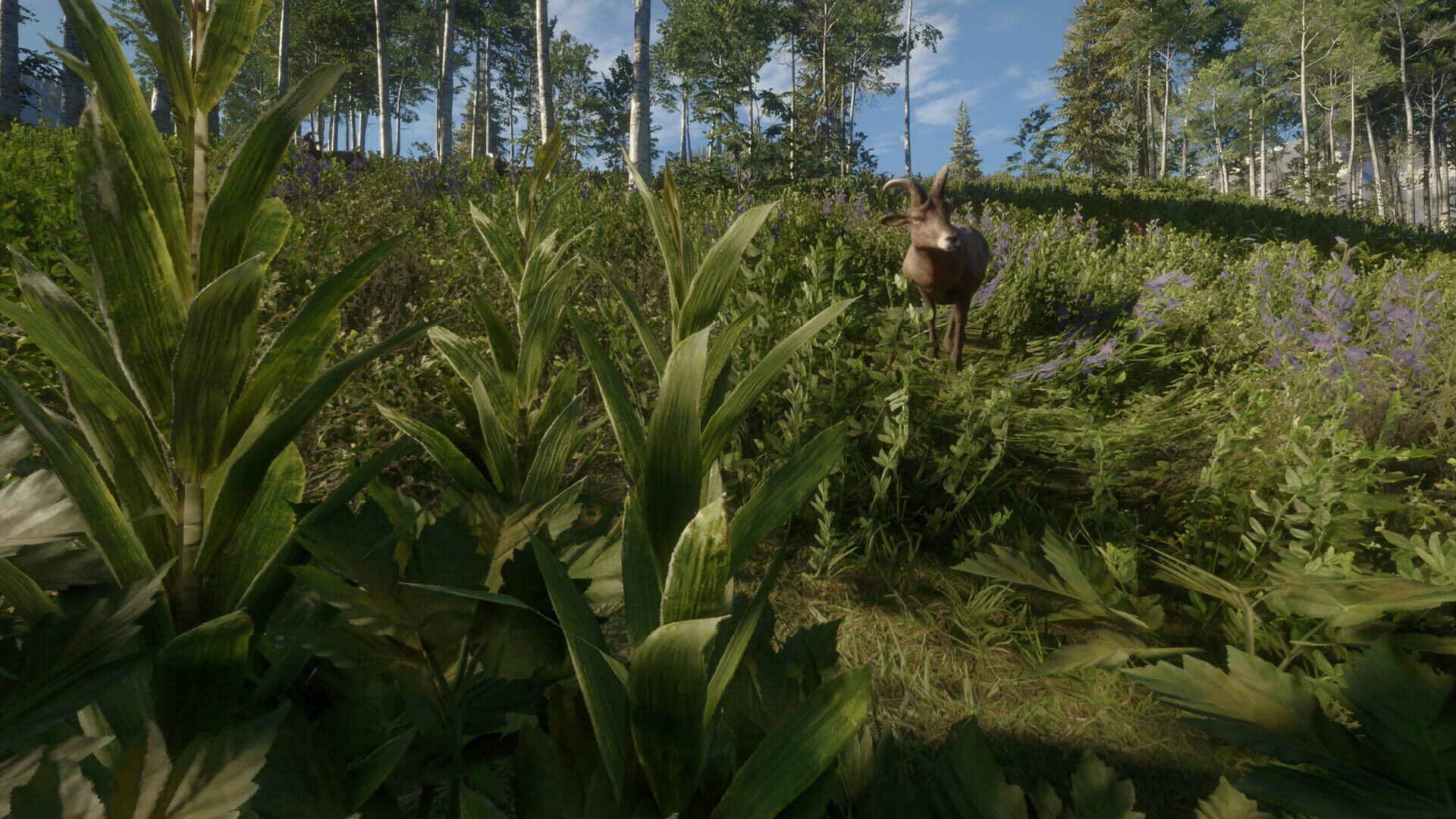 Screenshot for TheHunter: Call of the Wild - Silver Ridge Peaks