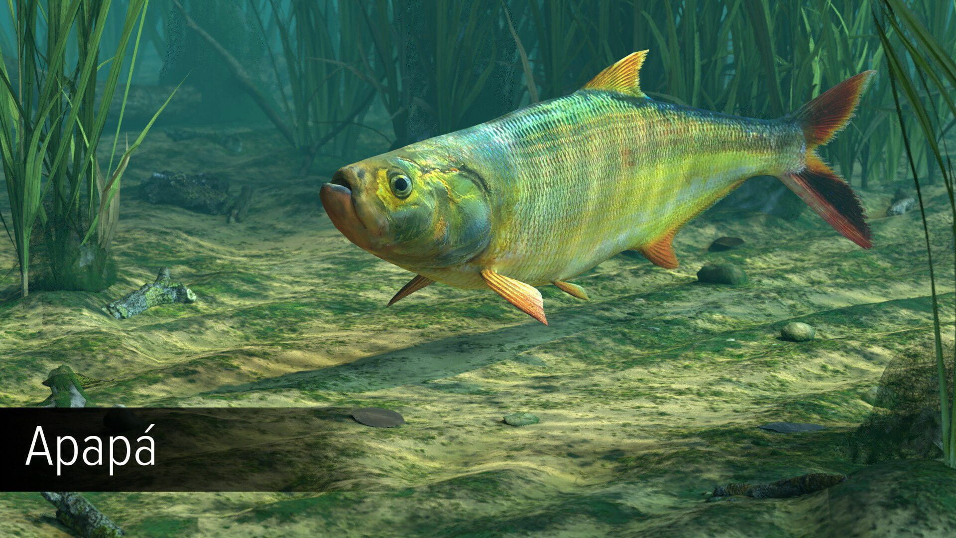 Screenshot for Ultimate Fishing Simulator: Amazon River