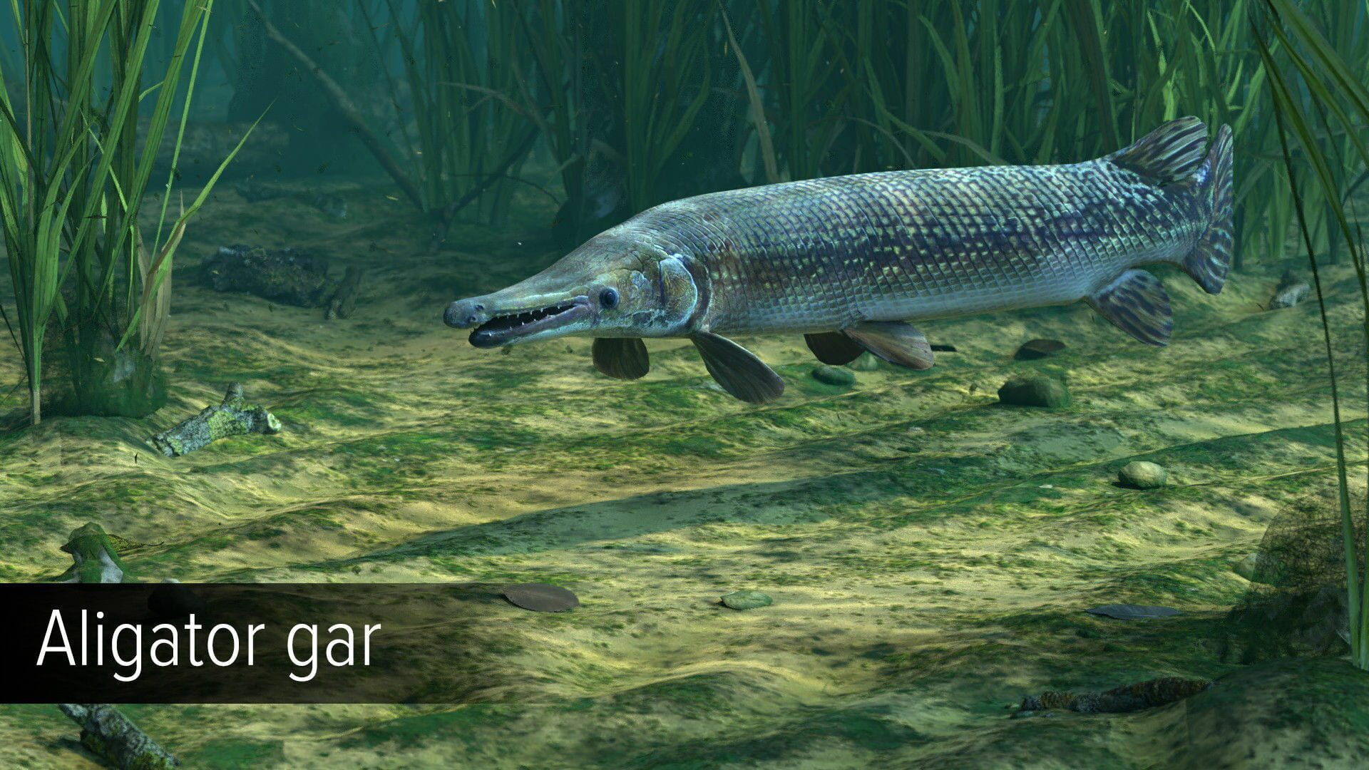 Screenshot for Ultimate Fishing Simulator: Amazon River