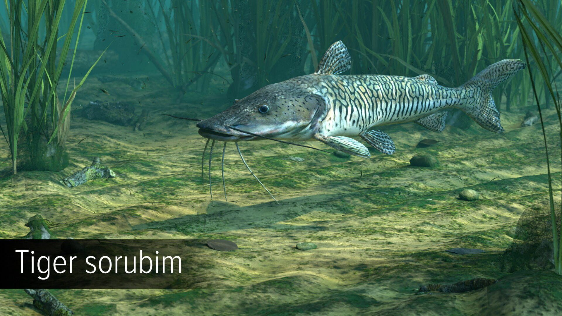 Screenshot for Ultimate Fishing Simulator: Amazon River