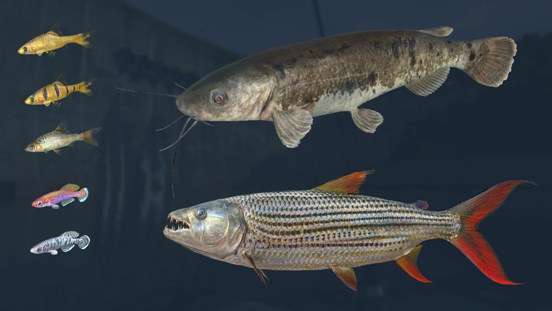 Screenshot for Ultimate Fishing Simulator: Kariba Dam
