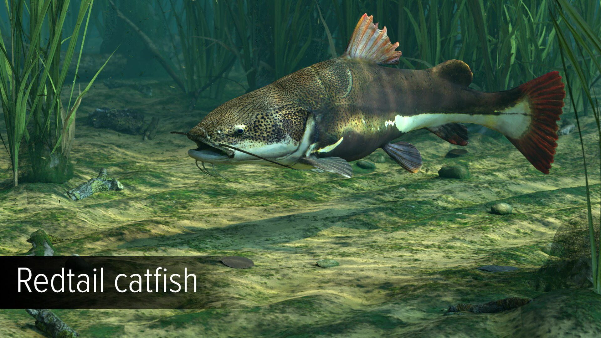 Screenshot for Ultimate Fishing Simulator: Amazon River
