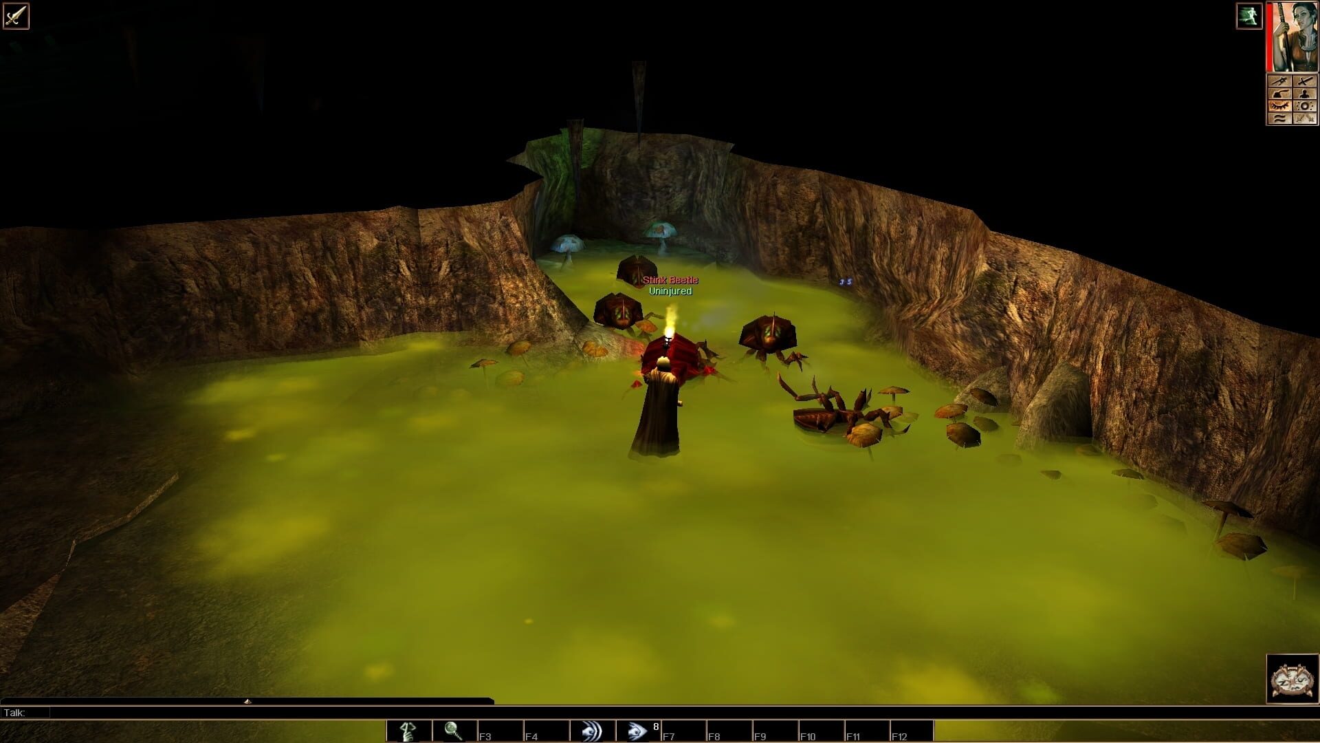 Screenshot for Neverwinter Nights: Dark Dreams of Furiae