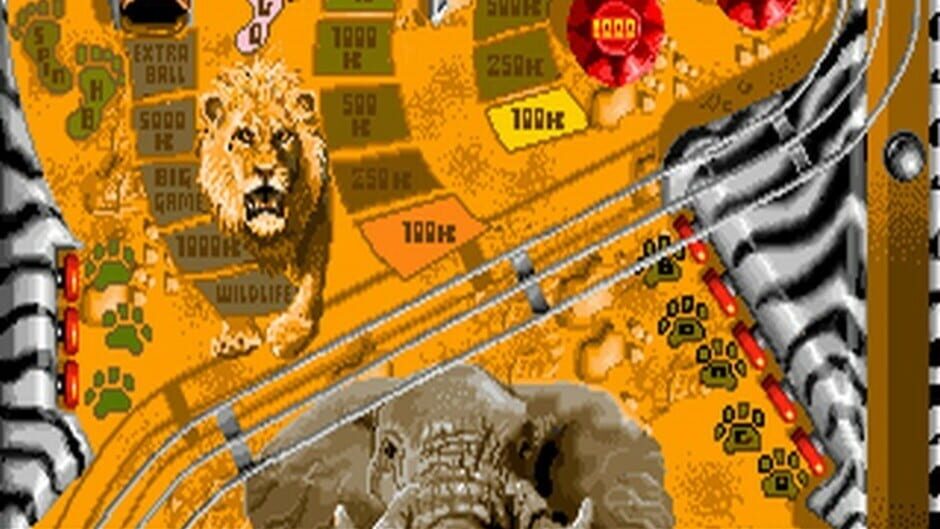 Screenshot for Pinball Illusions