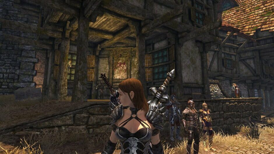 Screenshot for Divinity II: Ego Draconis