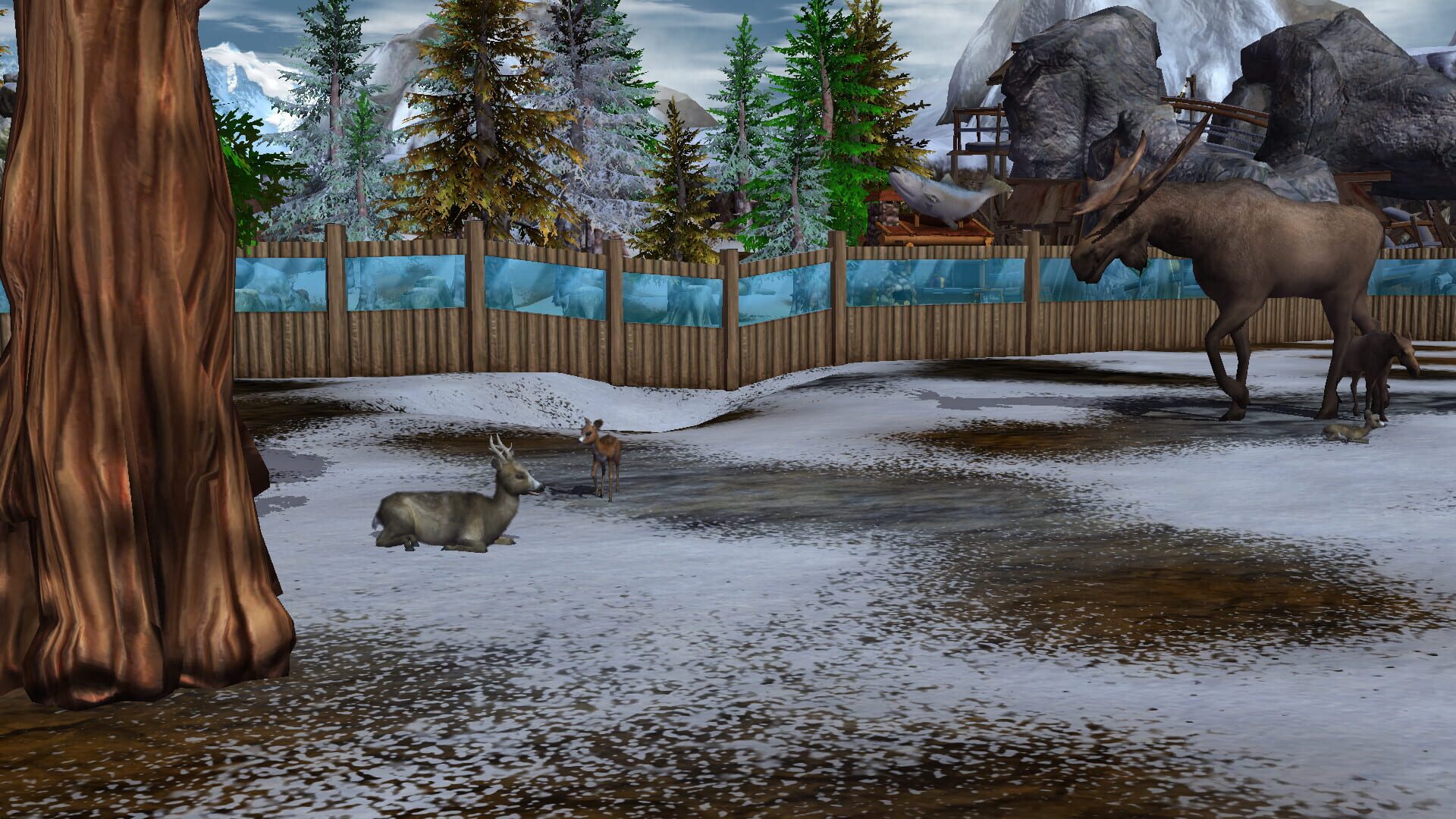 Screenshot for Wildlife Park 3: Alaska