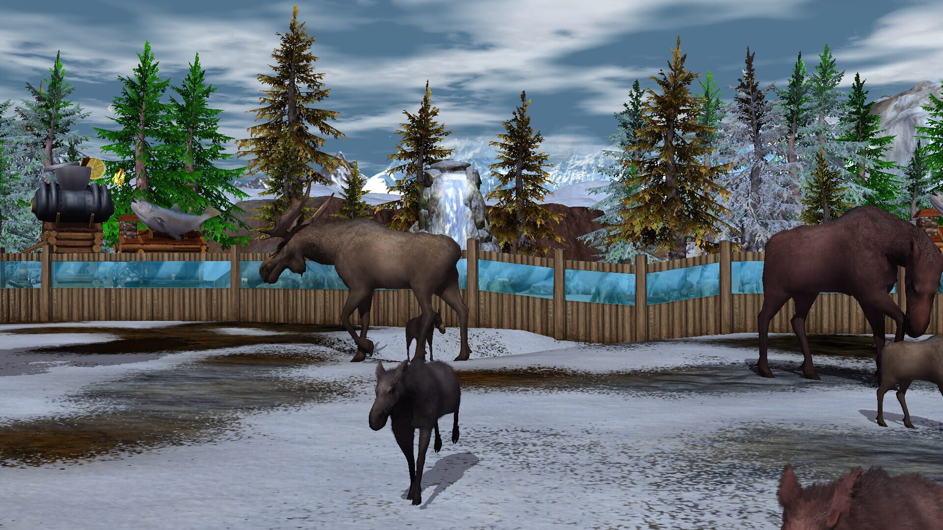 Screenshot for Wildlife Park 3: Alaska