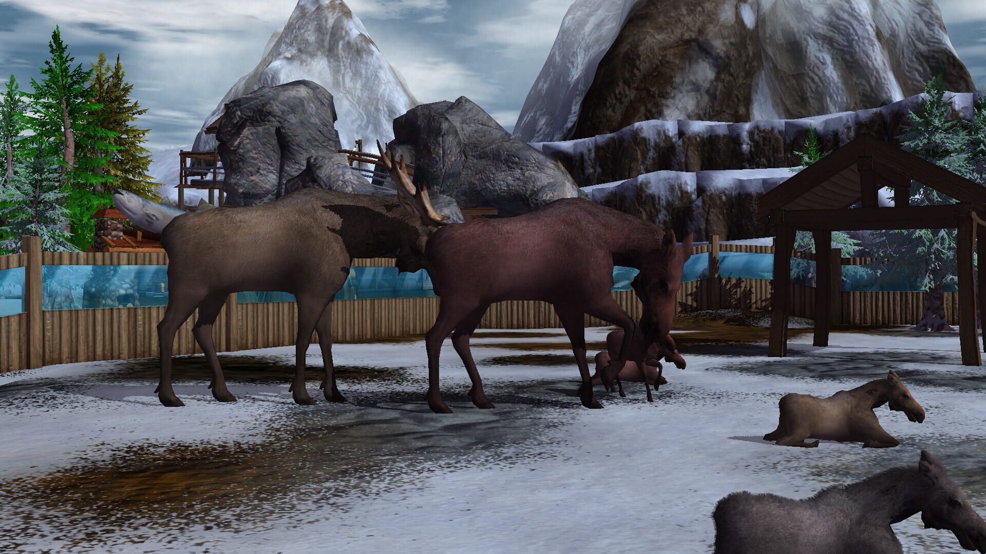 Screenshot for Wildlife Park 3: Alaska