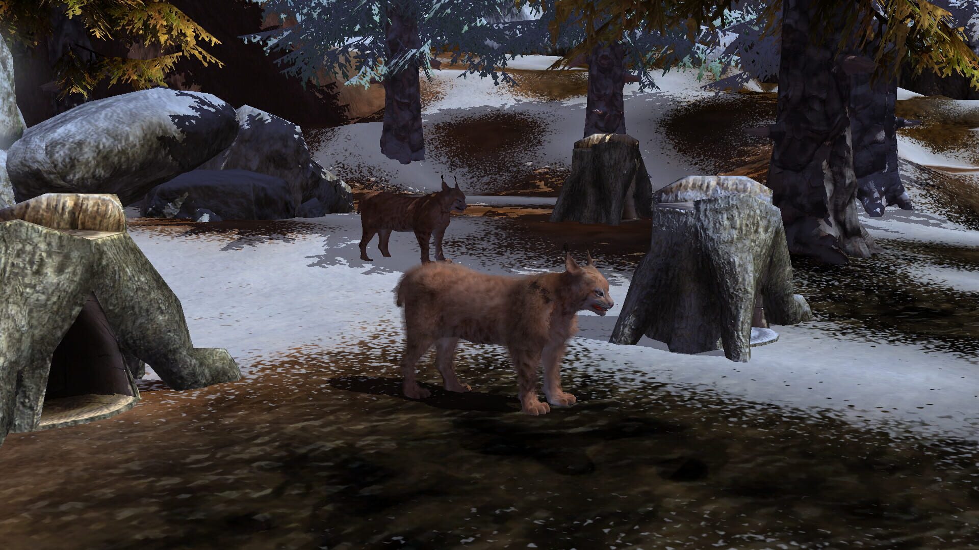 Screenshot for Wildlife Park 3: Alaska