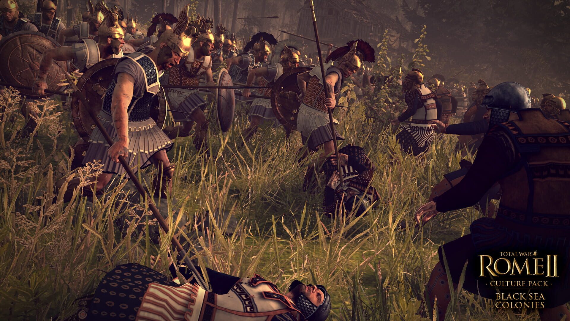 Screenshot for Total War: Rome II - Culture Pack: Black Seas Colonies